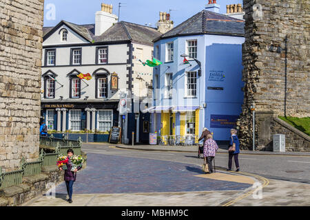 Woman carrying flowers on Castle Hill in town centre beside town walls, Caernarfon, Gwynedd, Wales, UK. Stock Photo