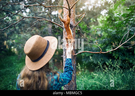 Young hipster woman in hat with long hair feeding funny squirrel in pine forest Stock Photo