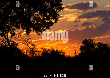 Okavango Delta, Botswana. 16, 05, 2011 Pic shows: The sun goes down on Botswana's Okavango Delta.  Credit: Ian Jacobs Stock Photo