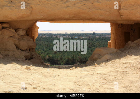 View of Siwa and it’s Agricultural Palm Tree Plantation from the Mountain of the Dead in Siwa Stock Photo