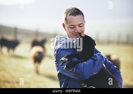 Sunny morning on the rural farm. Young farmer holding lamb against pasture with herd of sheep Stock Photo