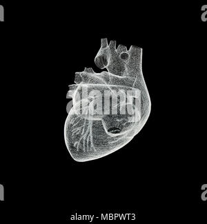 Mesh model of a human heart isolated on black background Stock Photo