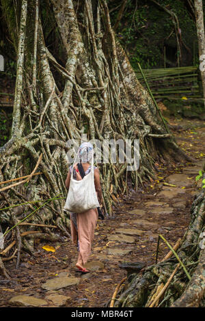 Meghalaya, India - May 15, 2017: Khasi woman from the Riwai village crossing one of the famous living roots bridge in Meghalaya state, India. This bri Stock Photo