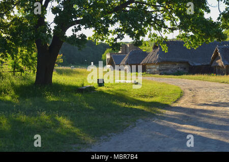 The tree creates a shadow on a ground road leads to small wooden houses with straw stripes and green neat lawns. Stock Photo