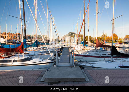 bronte harbour yacht club