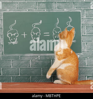 Education idea about foxy Cat studied mathematics on example of addition of mice Stock Photo