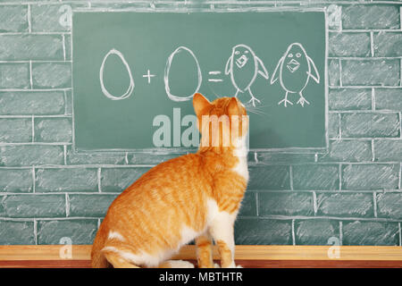 Education funny idea about red cat studying mathematics on sample of addition of eggs Stock Photo