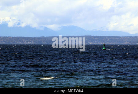 Green buoy in Puget Sound, Seattle. Image taken from the beach at Golden Gardens Park Stock Photo