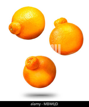 Falling mandarins or tangerines citrus fruit Stock Photo