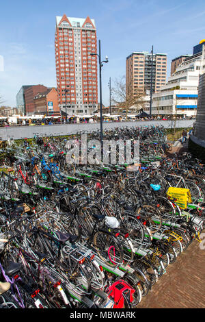 Bicycle parking, parking, in the city center of Rotterdam, at the train and bus stop Blaak, secure parking spaces, on shelf parking spaces, Stock Photo