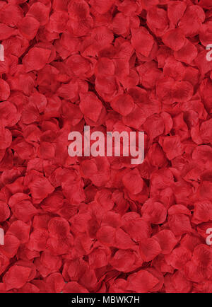 Lots of red, shining petals laying on a floor Stock Photo