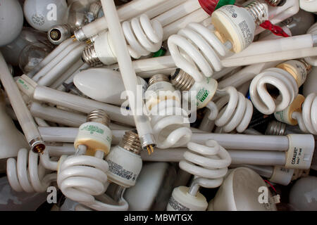 A mixture of discarded light bulbs to be recycled fills a box at Gwinnett County's America Recycles Day on November 23, 2013 in Lawrenceville, GA. Stock Photo