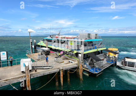Green Island ferry tourist boat, Great Barrier Reef, Far North Queensland, QLD, FNQ, GBR, Australia Stock Photo