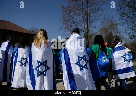 April 12, 2018 - Oswiecim, Poland - Participants carry Israeli flags at the former Nazi German Auschwitz-Birkenau death camp during the 'March of the Living' at Oswiecim. The annual march honours Holocaust victims at the former Nazi German Auschwitz-Birkenau death camp in southern Poland. (Credit Image: © Omar Marques/SOPA Images via ZUMA Wire) Stock Photo