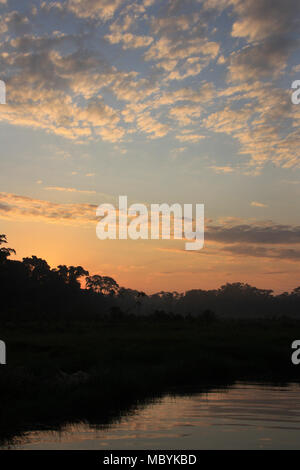 Sunrise in the Amazon Rainforest, Tambopata National Reserve, Puerto Maldonado, Peru Stock Photo