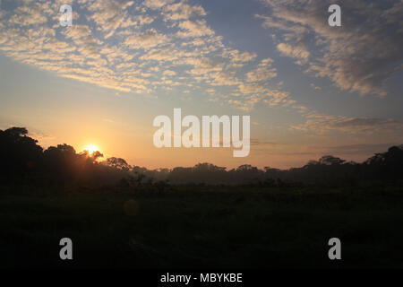 Sunrise in the Amazon Rainforest, Tambopata National Reserve, Puerto Maldonado, Peru Stock Photo