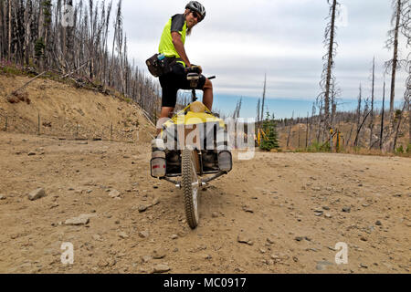 WA15230-00...WASHINGTON - Forest fire ravaged Lone Frank Pass, the 6712 feet, the highest point along the Washington Backcountry Discovery Route but n Stock Photo