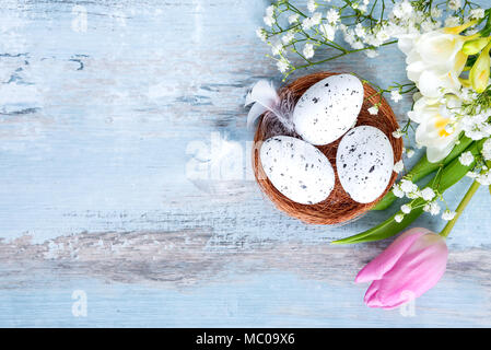 Top view of Easter eggs in a nest. Spring flowers and feathers over blue rustic wood background. Stock Photo