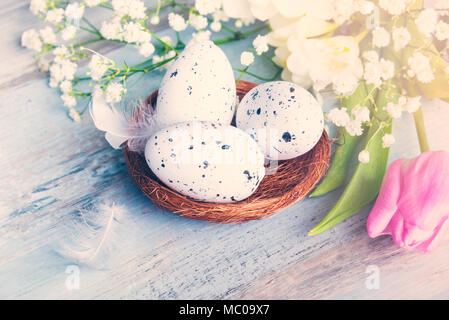 Close up view of easter eggs in a nest. Spring flowers and feathers over blue rustic wood background. Stock Photo