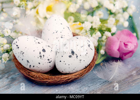 Close up view of easter eggs in a nest. Spring flowers and feathers over blue rustic wood background. Stock Photo