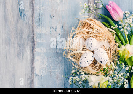 Top view of Easter eggs in a nest. Spring flowers and feathers over blue rustic wood background. Stock Photo