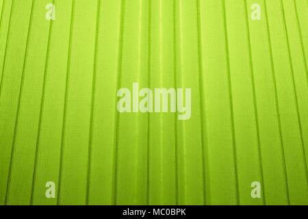 Fabric Texture, Close Up of Lime Green Pleated Textile Pattern Background with Light. Stock Photo