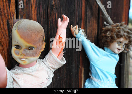 Burned and cracked dolls hang from a barn door. Stock Photo