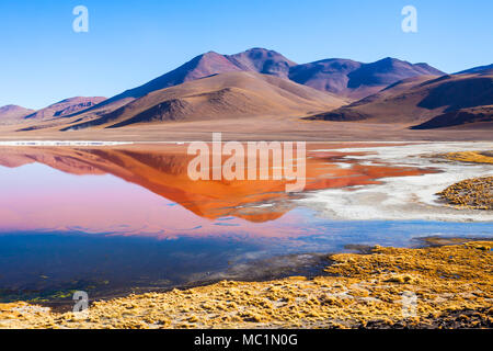 Laguna Colorada, means Red Lake is a shallow salt lake in the southwest of the Altiplano of Bolivia Stock Photo