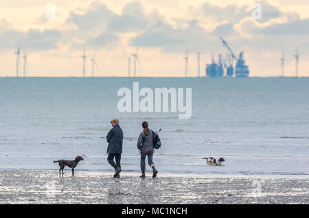 People walking dogs on the beach at low tide with a view of the Rampion Wind Farm out at sea in Littlehampton, West Sussex, England, UK. Stock Photo