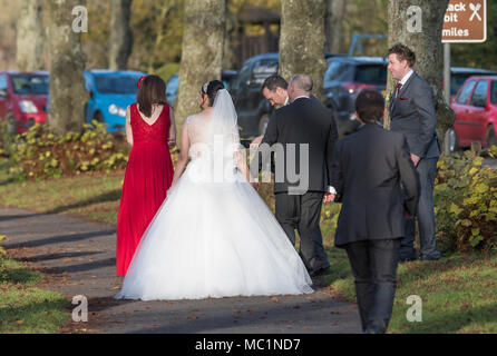 Bride and Groom plus a photographer and others take a walk to have photos taken in the UK. Sunny day in Winter. Stock Photo