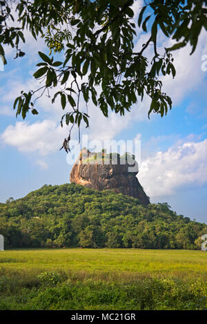 Vertical view of Sigiriya or Lion's Rock in Sri Lanka. Stock Photo