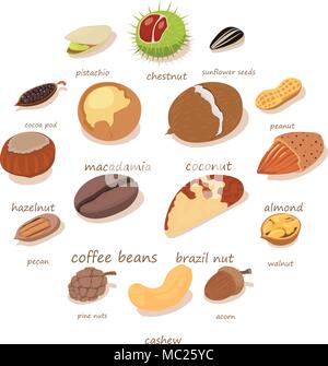 Nuts and seeds icons set, isometric style Stock Vector