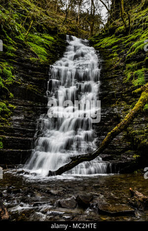 Water Break it's Neck Waterfall in the Warren Wood. Within Radnor Forest, Wales. The Warren has been a popular spot for tourists for over 200 years Stock Photo