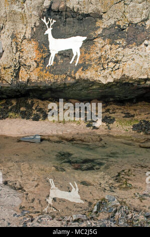 White Painted stag on the rocks just north of Bamburgh Castle on Bamburgh Beach Northumberland Stock Photo