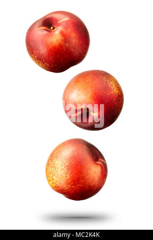 Nectarines peach isolated on white, clipping path Stock Photo