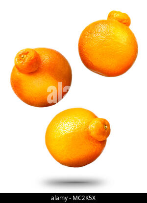 Falling mandarins or tangerines citrus fruit Stock Photo