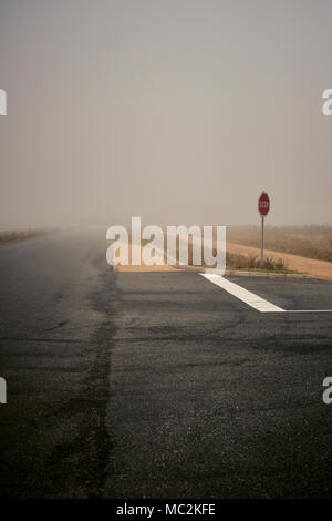 An empty road junction in a foggy landscape Stock Photo