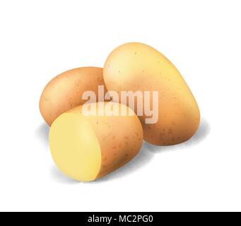 Potato and fry chips. Vegetable 3d vector icon set Stock Vector