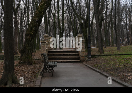 Solitude alley in Copou park Stock Photo