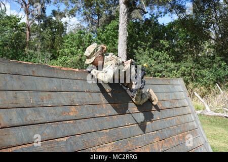 225 Bsb Rdi Warriors of the 225 Brigade Support Battalion completed the Dragon ...