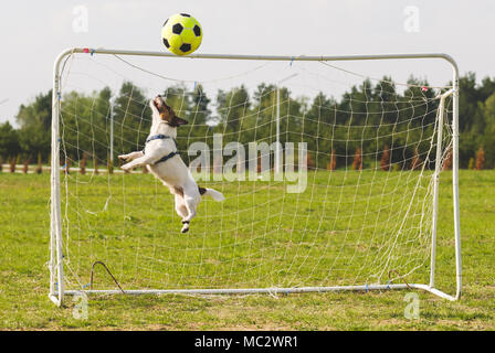 Football (soccer) ball hits crossbar while funny keeper jumping to save goal Stock Photo