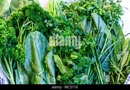 Basic of the Frankfurt's original green sauce Stock Photo