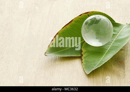 man hand holding small earth globe and Green Leaf, Earth day concept. giving and health concept Stock Photo