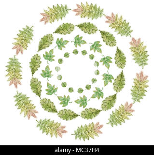 Set of Four Green Leaf Wreaths. Leaf Wreaths Collection Isolated on White Background. Forest Tree Leaves Circular Design. Summer Leaves in Circular Mo. Stock Photo