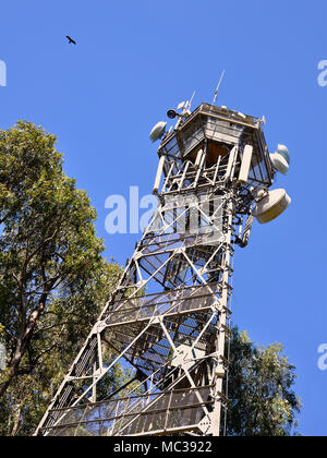 Tower with telecommunications equipment and Eucalyptus trees at Palacio de Doñana in Doñana National Park (Huelva, Andalusia, Spain) Stock Photo