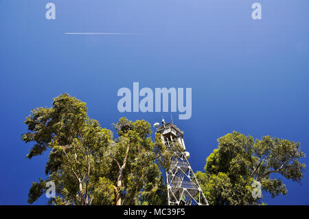 Tower with telecommunications equipment and Eucalyptus trees at Palacio de Doñana in Doñana National Park (Huelva, Andalusia, Spain) Stock Photo