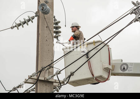 Mayaguez, Puerto Rico, Dec. 8, 2017--A contractor works to install new power lines to restore the electricity in Mayaguez. Assigned by FEMA, U.S. Army Corps of Engineers (USACE) leads the federal effort to repair the electrical power network damaged by the hurricanes. Stock Photo