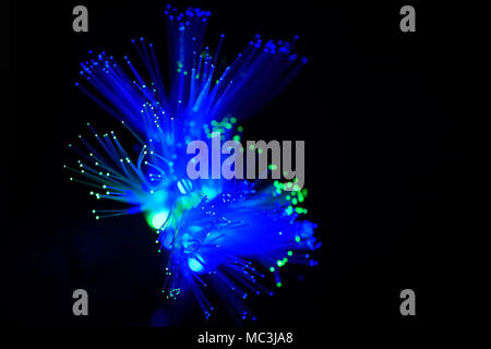 Optical fibre cable against black background Stock Photo