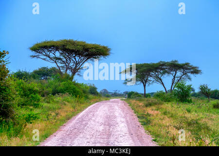 Road in African scenic forest Stock Photo