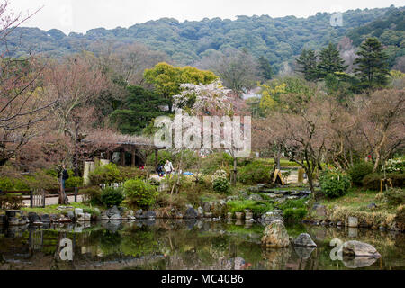 Beautiful sakura cherry blossoms during the hanami in Maruyama Park (Maruyama-koen), Kyoto, Japan Stock Photo
